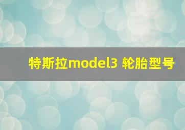 特斯拉model3 轮胎型号